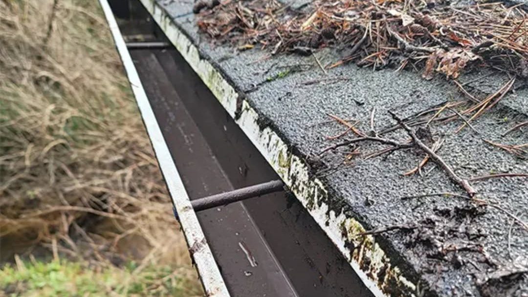 Clogged roof gutter filled with debris and moss alongside shingle roofing