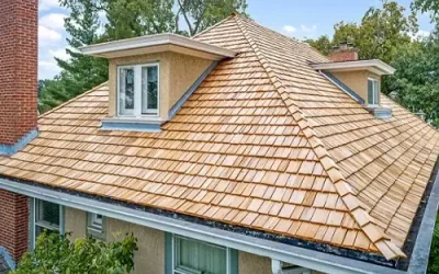 Revitalize Your Home: The Science and Art Behind Oregon Coast Roof Cleaning’s Pressure Washing and Roof Cleaning Services