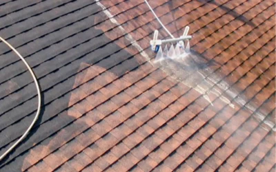 Oregon Coast Roof Cleaning: The Gold Standard in Tillamook Roof Care